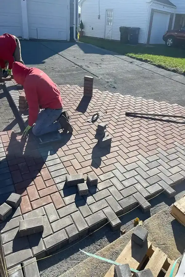 Tree Service Tree Service