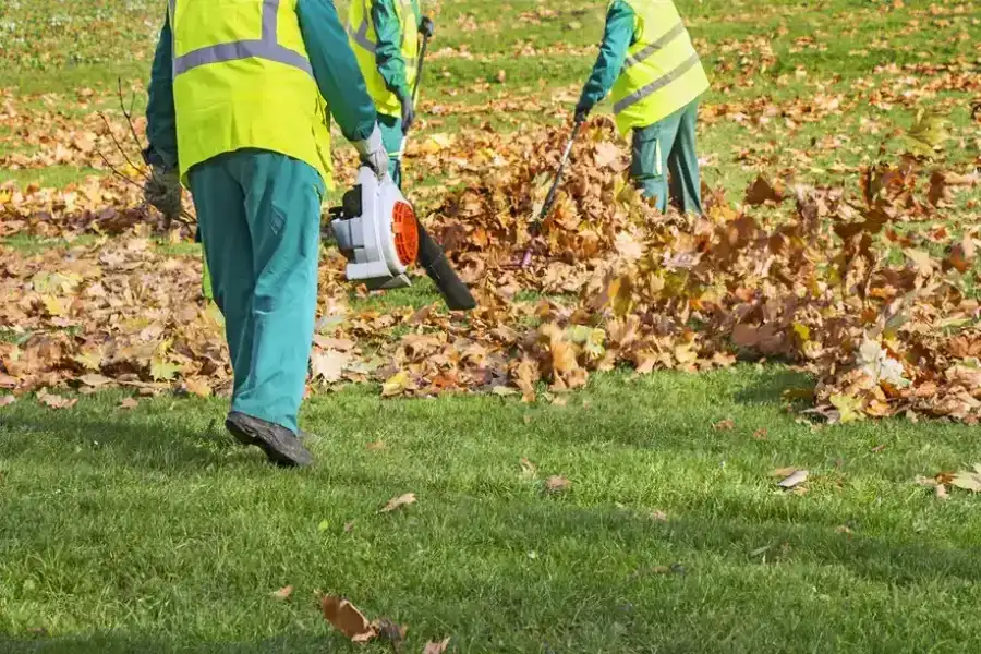 Affordable Leaf Removal Southampton Township, NJ Affordable Leaf Removal Southampton Township, NJ