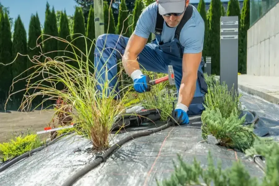How Landscaping Services Address Drainage And Irrigation Issues in Southampton Township, NJ How Landscaping Services Address Drainage And Irrigation Issues in Southampton Township, NJ