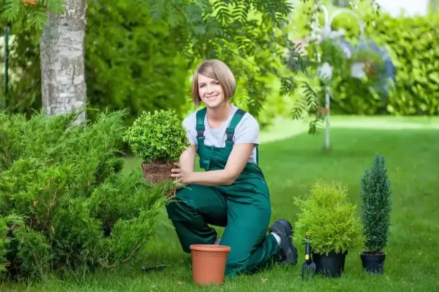 What To Expect During A Comprehensive Landscaping Service Visit Southampton Township, NJ What To Expect During A Comprehensive Landscaping Service Visit Southampton Township, NJ
